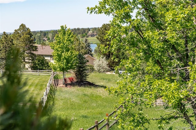 5631 Silver Bluff Ct, Parker, CO 80134 - photo 22