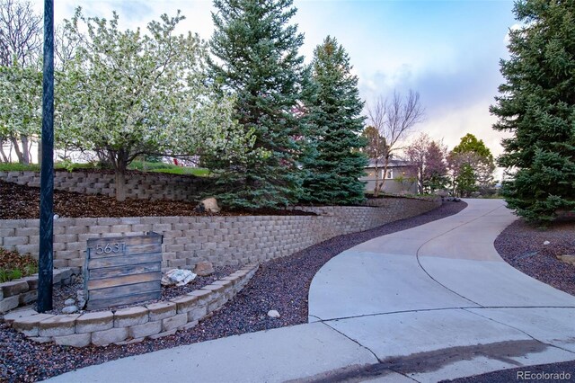 5631 Silver Bluff Ct, Parker, CO 80134 - photo 2