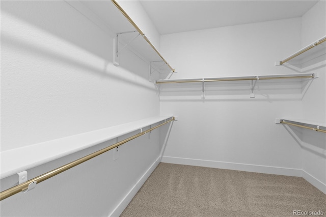 6129 Zebulon Pl, Timnath, CO 80547 - walk in closet with light colored carpet
