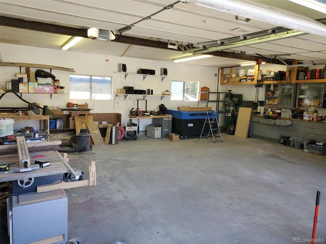 1100 E Harvey St, Castle Rock, CO 80108 - garage with a workshop area and a garage door opener