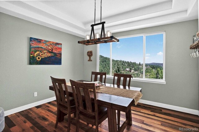 30889 Manitoba Dr, Evergreen, CO 80439 - dining area featuring a raised ceiling, a chandelier, and dark wood-style flooring