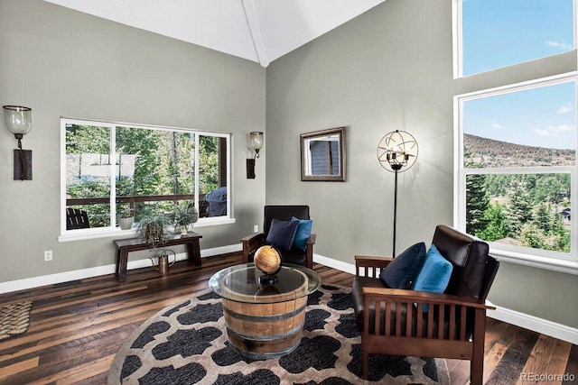 30889 Manitoba Dr, Evergreen, CO 80439 - living area featuring high vaulted ceiling, plenty of natural light, and wood finished floors