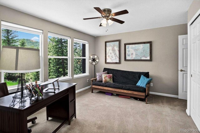 30889 Manitoba Dr, Evergreen, CO 80439 - carpeted office featuring baseboards and ceiling fan