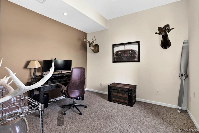 30889 Manitoba Dr, Evergreen, CO 80439 - carpeted office space with baseboards