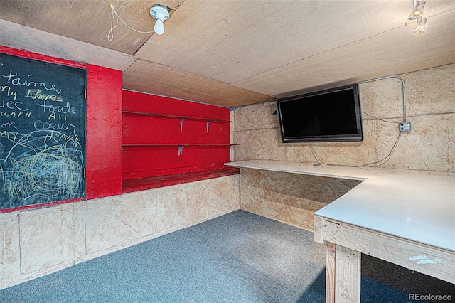 70 Silver Springs Rd, Bailey, CO 80421 - bar area with carpet flooring