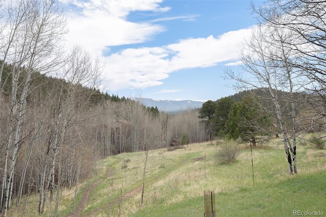 70 Silver Springs Rd, Bailey, CO 80421 - mountain view with a forest