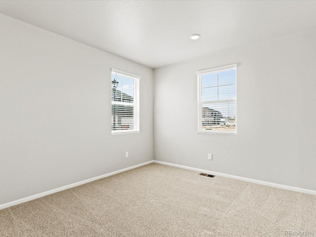 4704 Sugarcane St, Johnstown, CO 80534 - photo 5