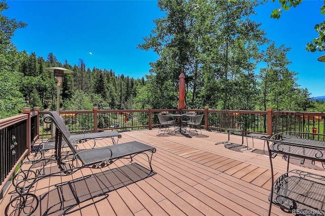 1201 Hughesville Rd, Black Hawk, CO 80422 - photo 35