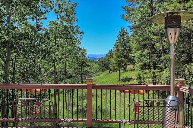 1201 Hughesville Rd, Black Hawk, CO 80422 - photo 36