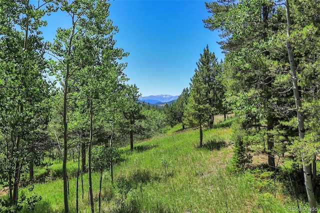 1201 Hughesville Rd, Black Hawk, CO 80422 - photo 39