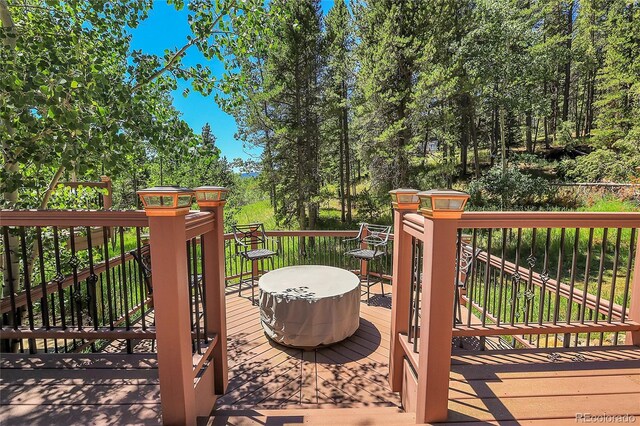 1201 Hughesville Rd, Black Hawk, CO 80422 - photo 41