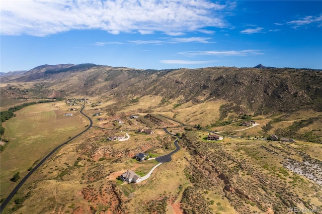 9950 Horsetail Way, Loveland, CO 80538 - photo 7