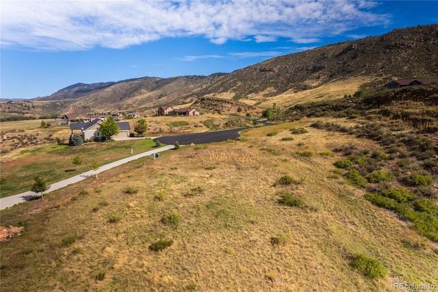9950 Horsetail Way, Loveland, CO 80538 - photo 13