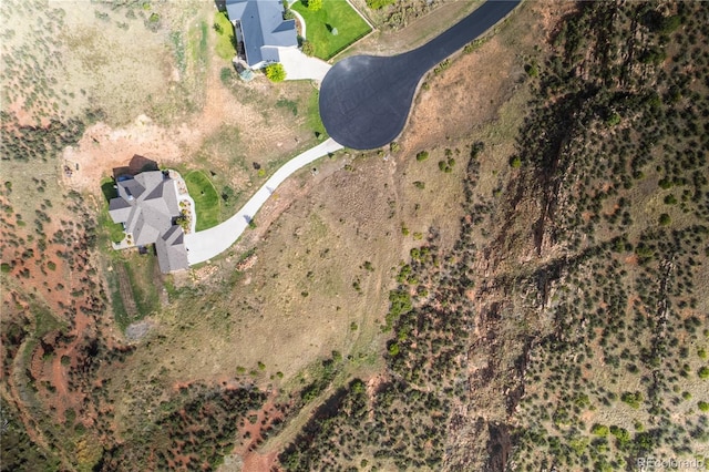 9950 Horsetail Way, Loveland, CO 80538 - photo 15