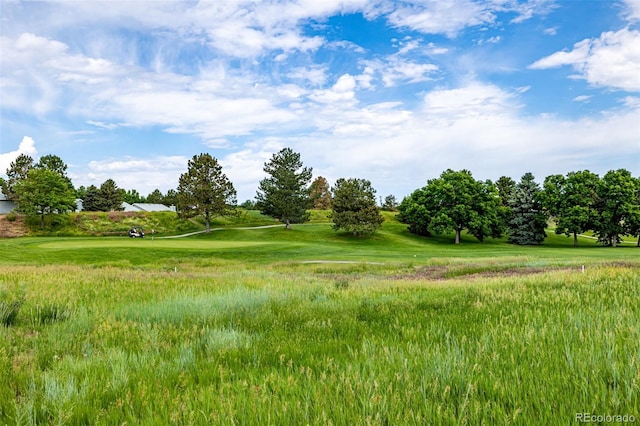 34 Sutherland Ct, Highlands Ranch, CO 80130 - photo 40
