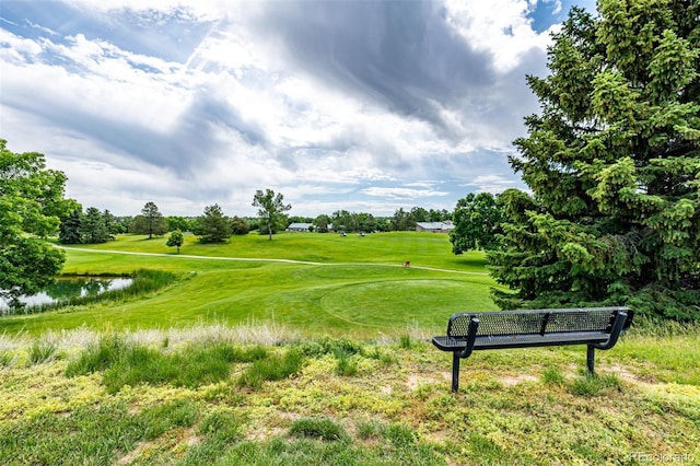 34 Sutherland Ct, Highlands Ranch, CO 80130 - photo 44