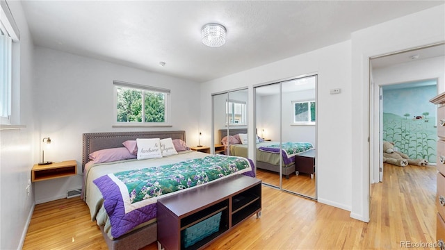 bedroom featuring wood-type flooring and multiple closets