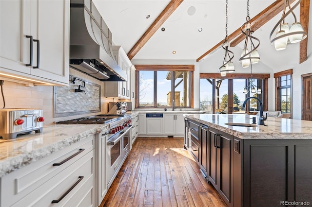 kitchen with exhaust hood, a sink, healthy amount of natural light, and decorative backsplash