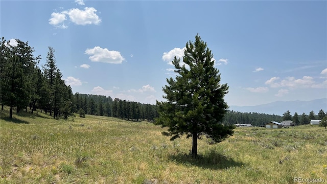 Listing photo 2 for LOT54 Democrat Cir, Westcliffe CO 81252