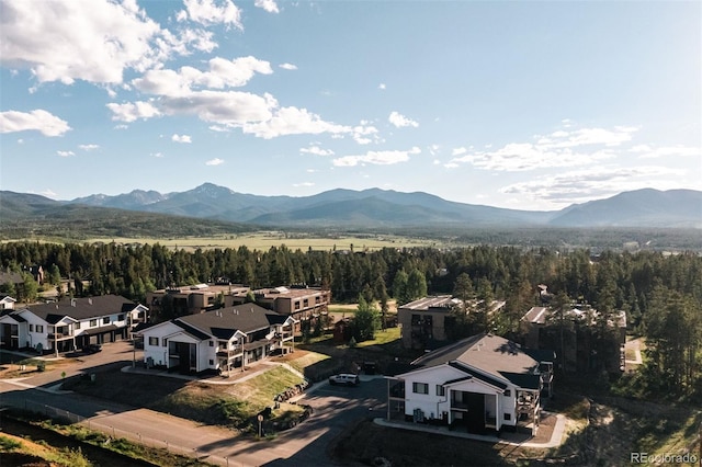 261 W Meadow Mile Unit 3, Fraser, CO 80442