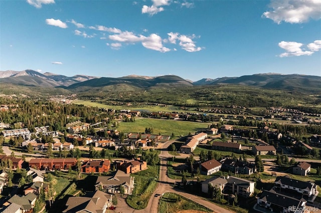 261 W Meadow Mile Unit 3, Fraser, CO 80442