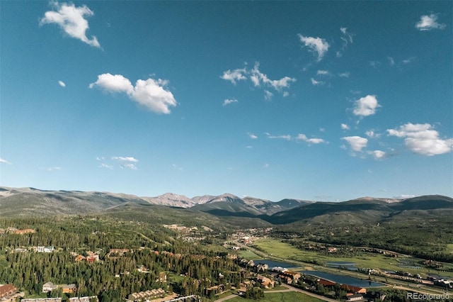 261 W Meadow Mile Unit 3, Fraser, CO 80442