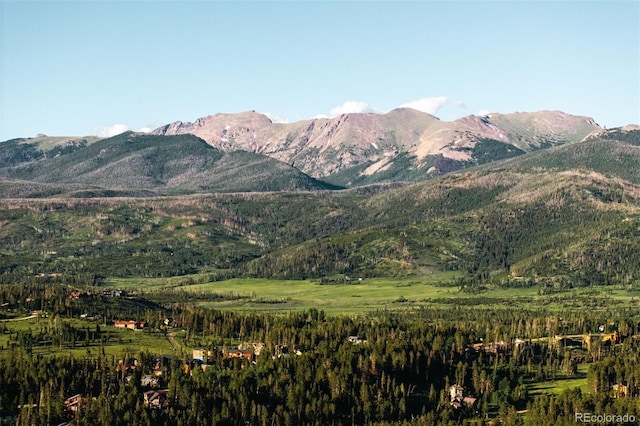 261 W Meadow Mile Unit 3, Fraser, CO 80442
