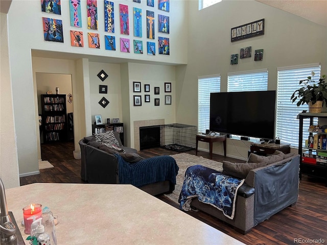 10636 Racine Cir, Commerce City, CO 80022 - living room with dark wood-type flooring and a towering ceiling