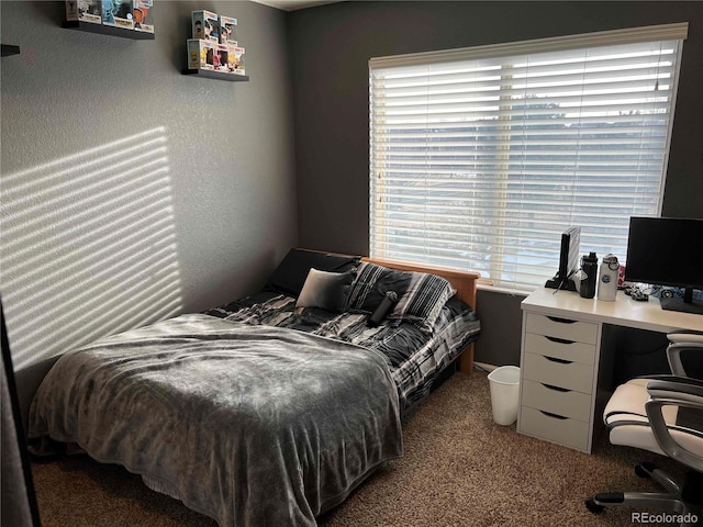 10636 Racine Cir, Commerce City, CO 80022 - view of carpeted bedroom