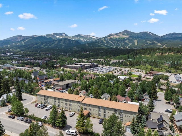 301 N French St Unit 303, Breckenridge, CO 80424 - photo 2