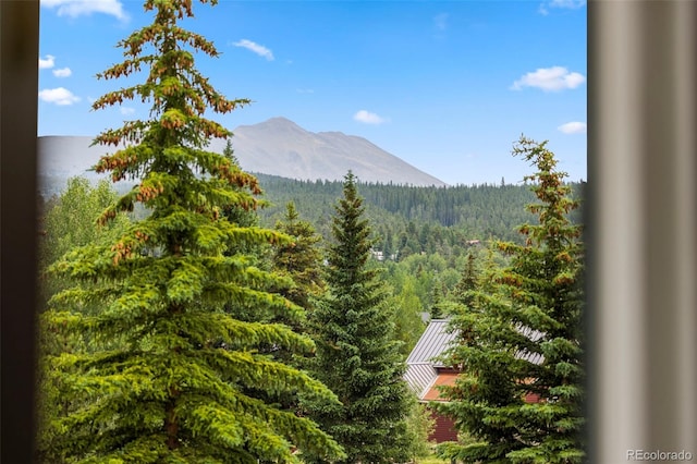 301 N French St Unit 303, Breckenridge, CO 80424 - photo 14