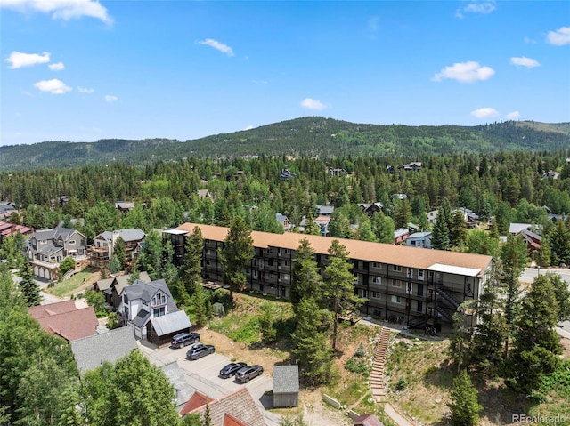 301 N French St Unit 303, Breckenridge, CO 80424 - photo 22