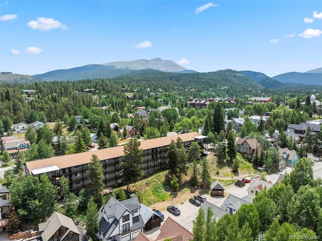 301 N French St Unit 303, Breckenridge, CO 80424 - photo 23