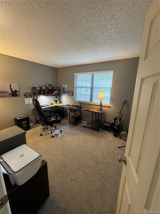 7020 W Portland Ave, Littleton, CO 80128 - carpeted office with a textured ceiling