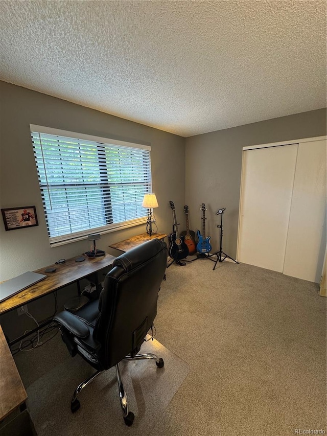 7020 W Portland Ave, Littleton, CO 80128 - office area with carpet and a textured ceiling