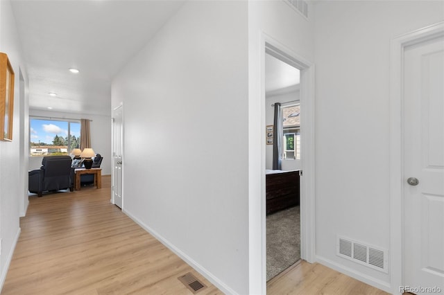 corridor featuring a healthy amount of sunlight and light hardwood / wood-style flooring