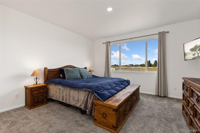 view of carpeted bedroom