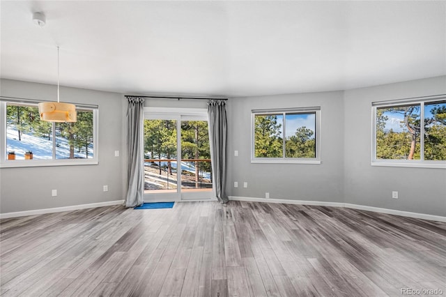 interior space featuring baseboards and wood finished floors