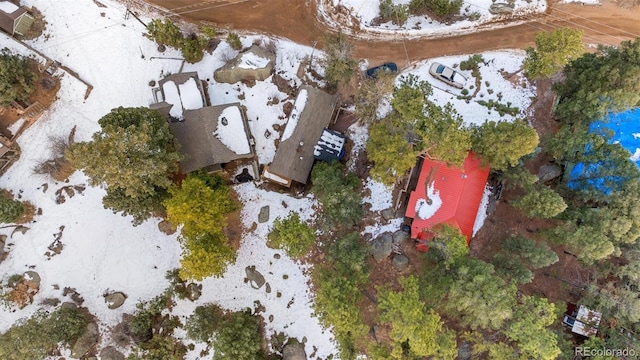 6720 Spruce Ave, Green Mountain Falls, CO 80819 - photo 21