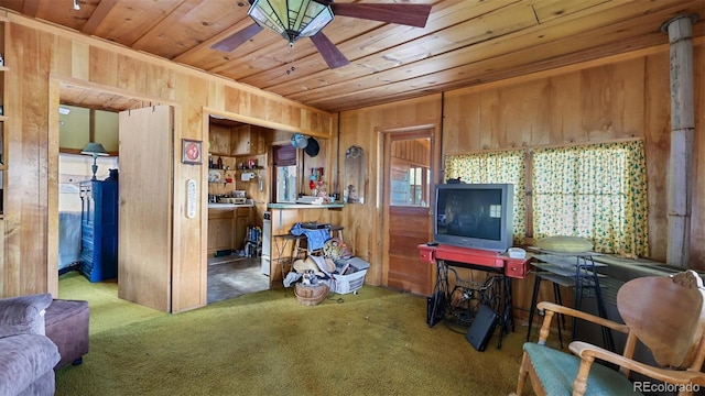 6720 Spruce Ave, Green Mountain Falls, CO 80819 - photo 30