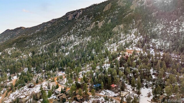 view of mountain feature