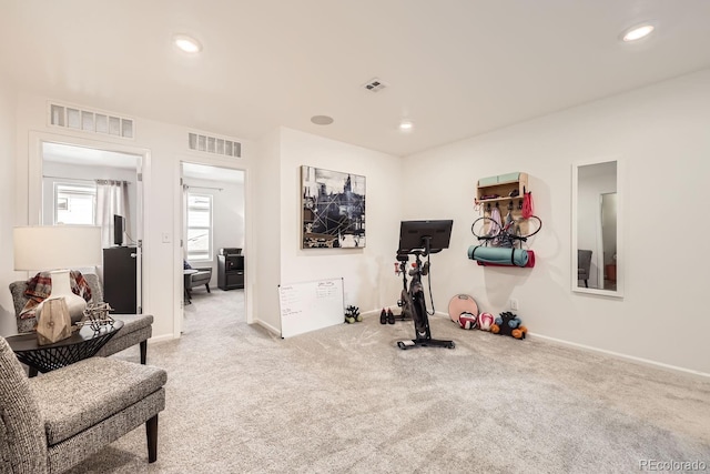 21613 E 59th Pl, Aurora, CO 80019 - workout area featuring carpet and recessed lighting
