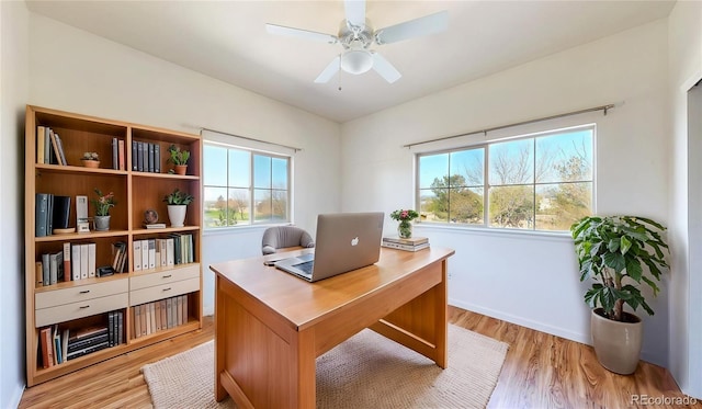 11374 Xavier Dr Unit 202, Westminster, CO 80031 - office with light wood-style flooring, a ceiling fan, and baseboards