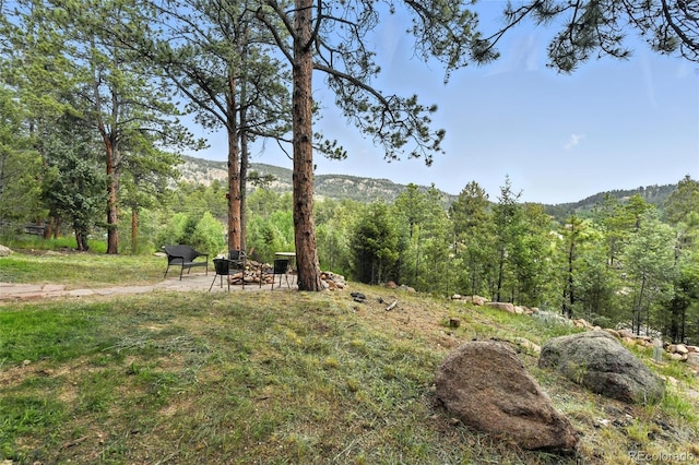 571 Wisp Creek Dr, Bailey, CO 80421 - photo 34
