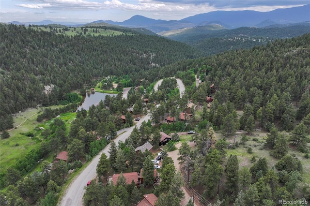 571 Wisp Creek Dr, Bailey, CO 80421 - photo 35
