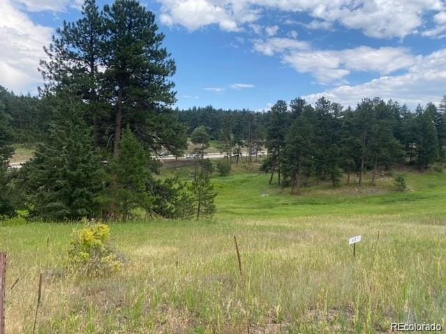 8036 Settlers Dr, Morrison, CO 80456 - photo 1