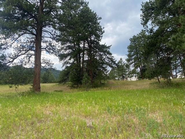 8036 Settlers Dr, Morrison, CO 80456 - photo 2