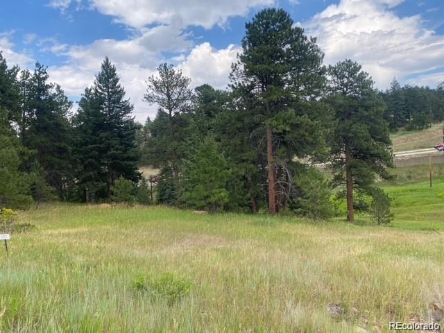 8036 Settlers Dr, Morrison, CO 80456 - photo 3