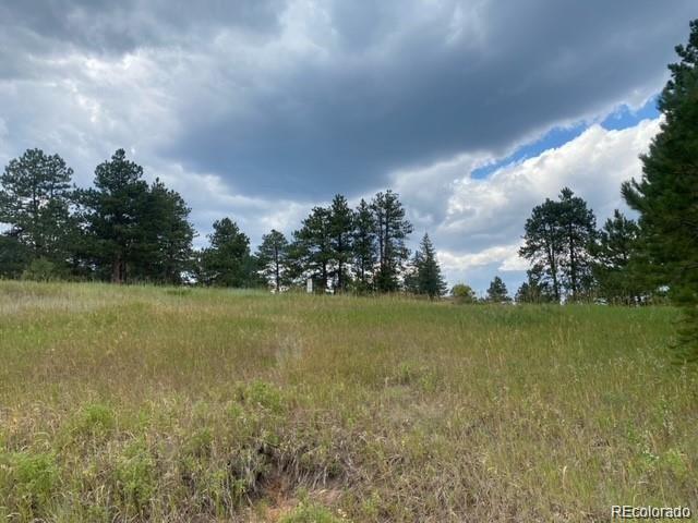 8036 Settlers Dr, Morrison, CO 80456 - photo 4