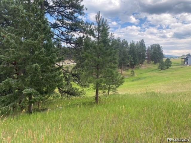 8036 Settlers Dr, Morrison, CO 80456 - photo 5